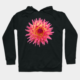 Sangria Dahlia, Hot Pink and Yellow Flower Hoodie